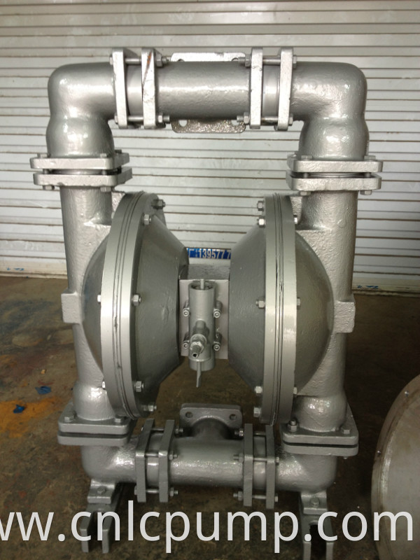 stainless steel Pneumatic Diaphragm Pump Structure Standard or Nonstandard Diahphragm Pump